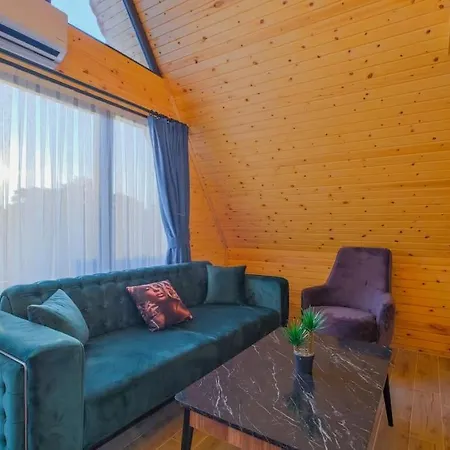Yildizlararasi Villa *